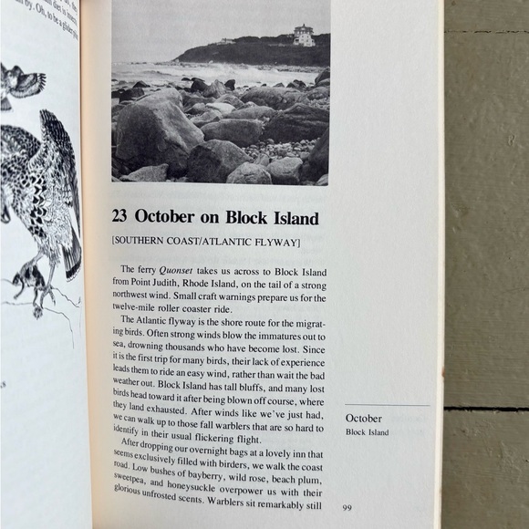 A Year with New England’s Birds A Guide to 25 Field Trips Bird New England - Picture 6 of 13